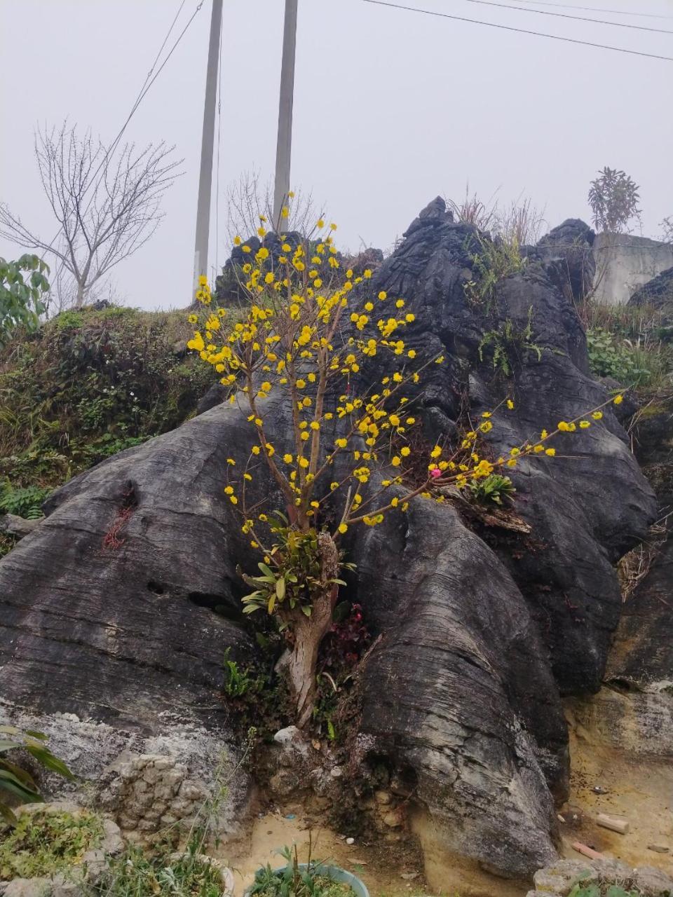 Ta Van Chu Homestay Bac Ha  Exterior photo